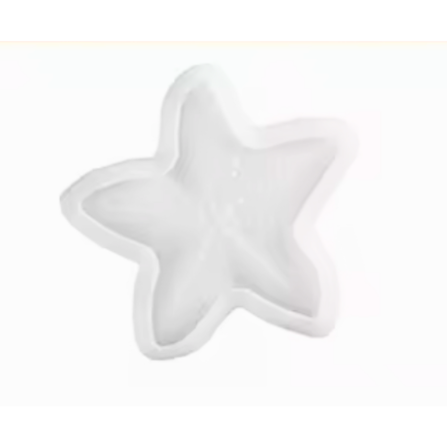 5" Starfish Trinket Dish Silicone Mold
