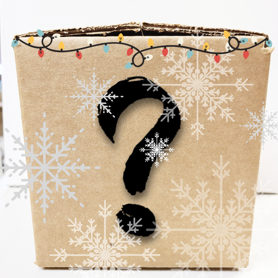 Winter Mystery Art Supply Box