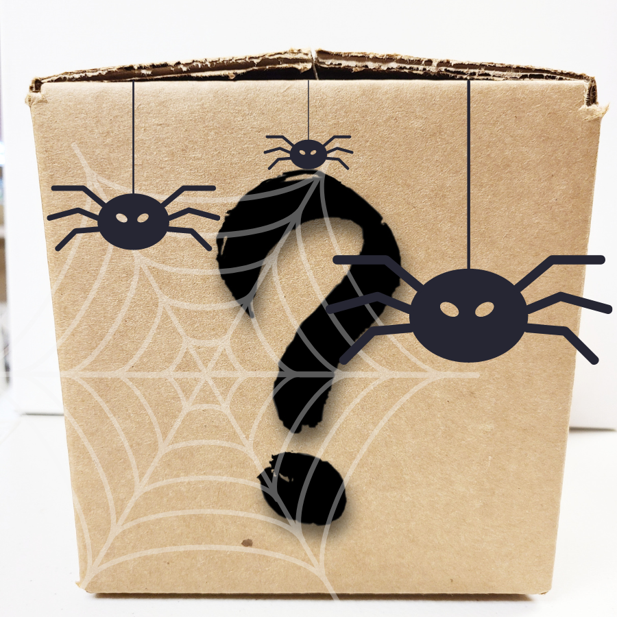 Fall Mystery Art Supply Box