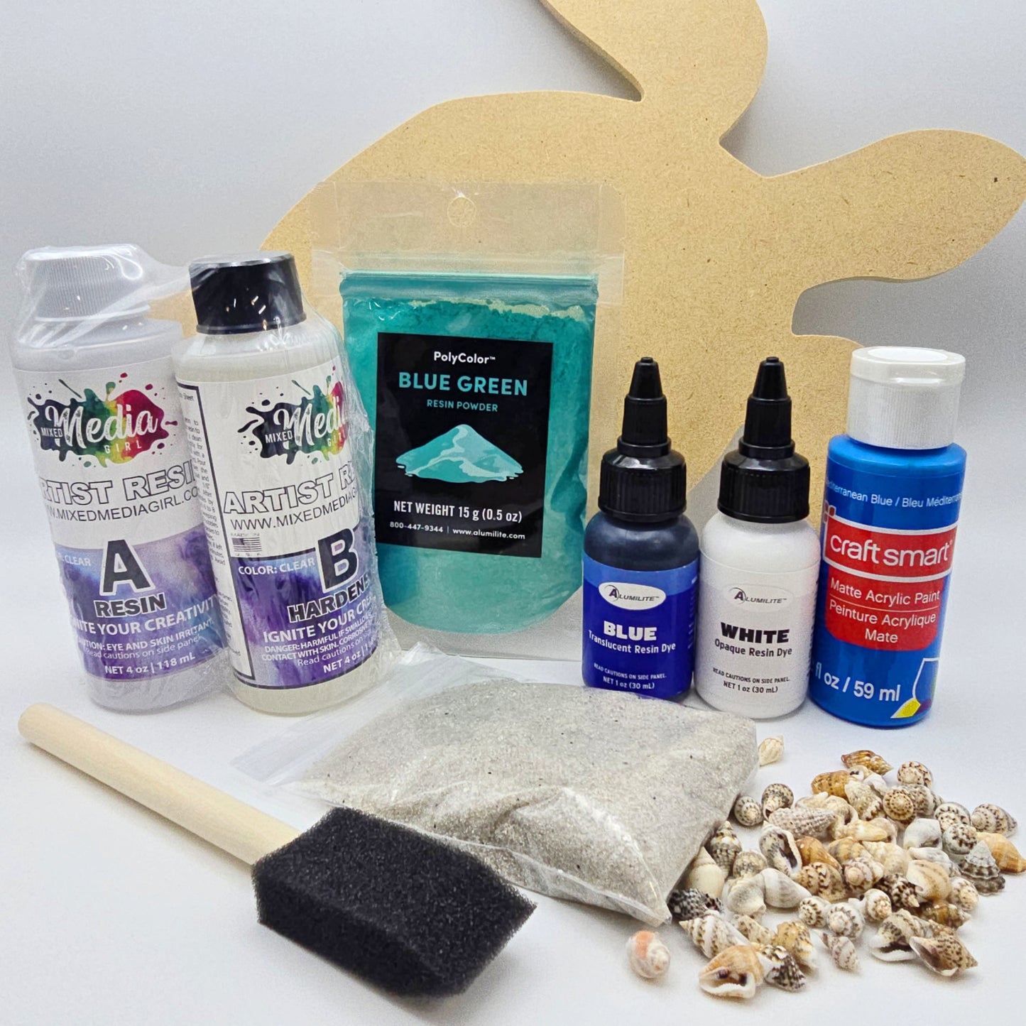 Resin Sea Turtle Kit and Course